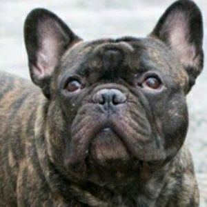 Meet your Posher, Anastasiya